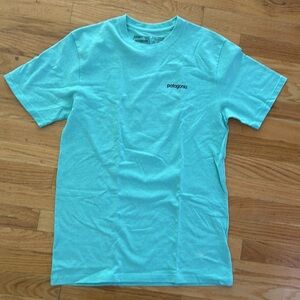 Teal medium Patagonia shirt Responsibili-tee